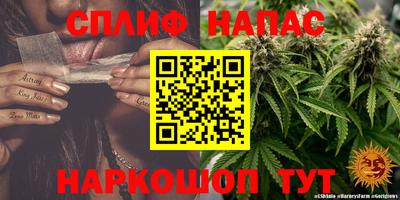 наркотики Будённовск