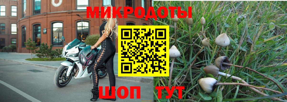 Галлюциногенные грибы MAGIC MUSHROOMS Тамбов