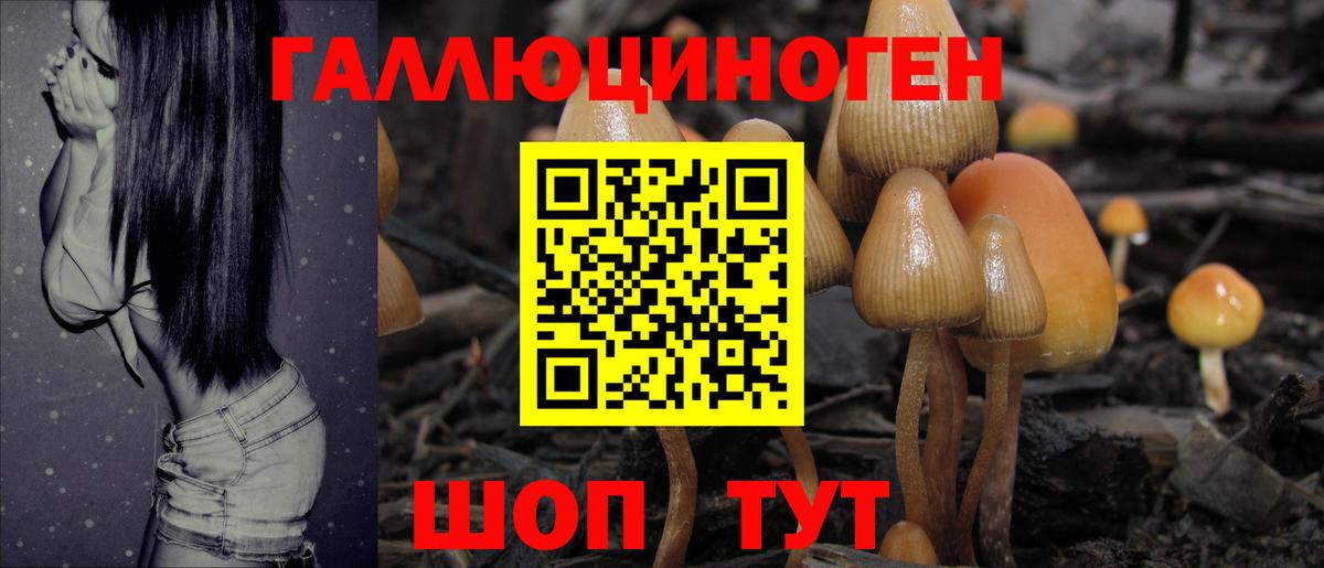 Псилоцибиновые грибы прущие грибы  купить  сайты  Тамбов  Вход с VPN 